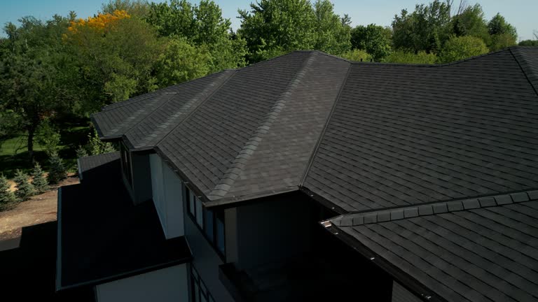 Best Roof Moss and Algae Removal  in Orland, CA
