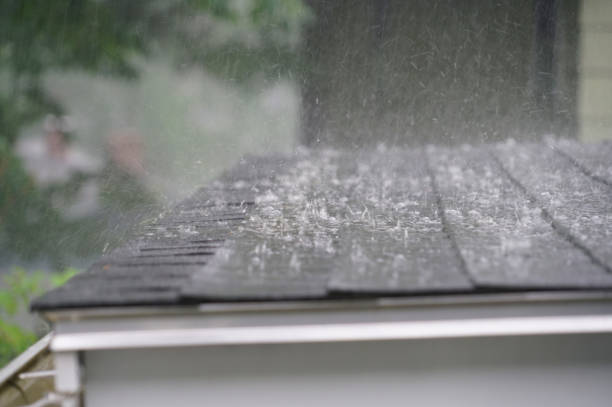 Best Asphalt Shingles Roofing  in Orland, CA